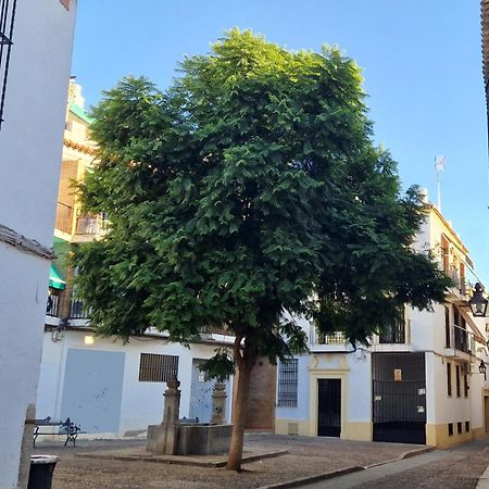 Appartamento Terraza De La Axerquia Cordova Esterno foto