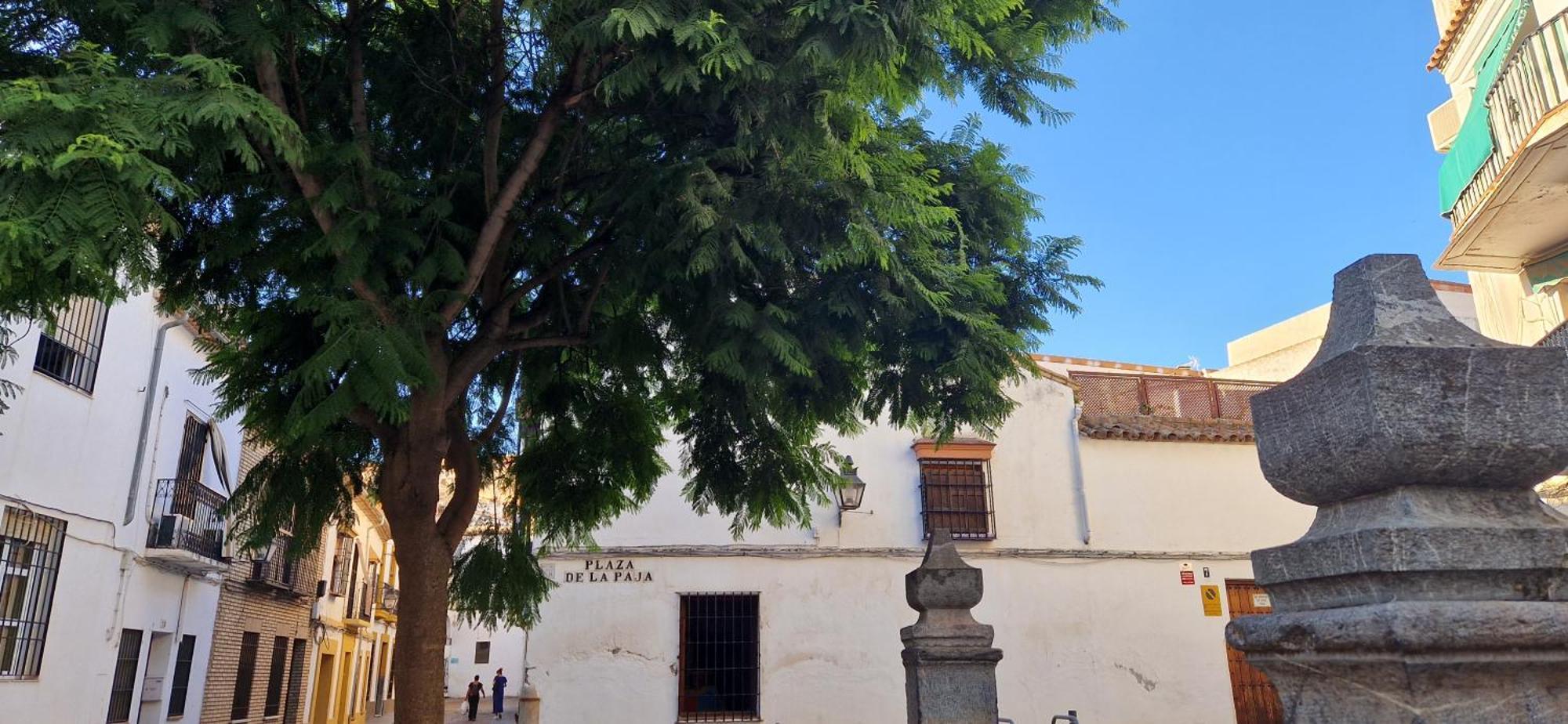 Appartamento Terraza De La Axerquia Cordova Esterno foto