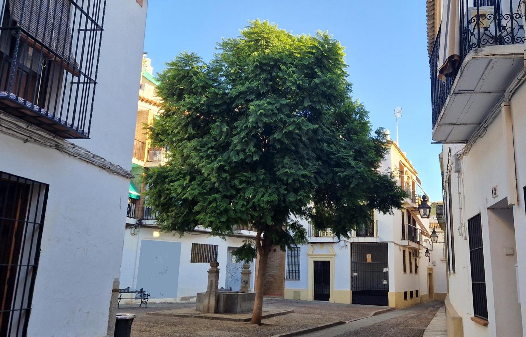 Appartamento Terraza De La Axerquia Cordova Esterno foto